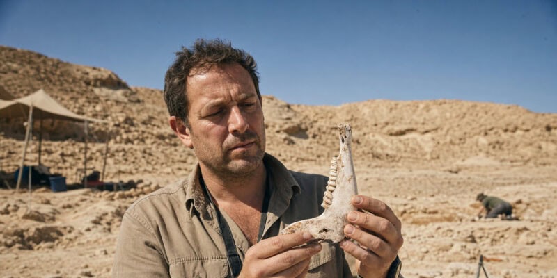 17-Million-Year-Old Ape Fossil in Egypt Upends Africa’s Human Origins Story