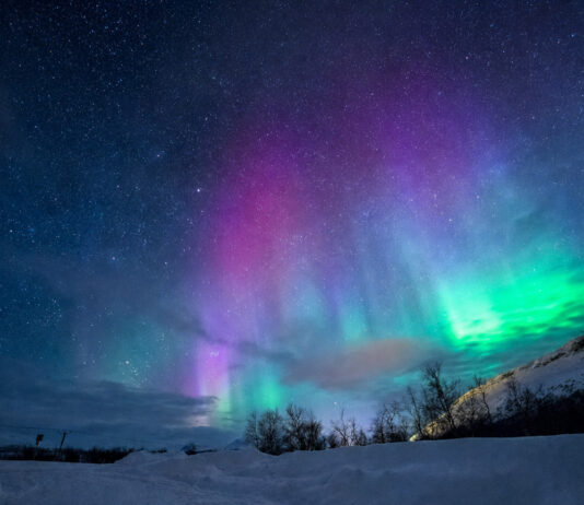 Aurora Borealis Colors Explained: Which Gas Makes Each Hue