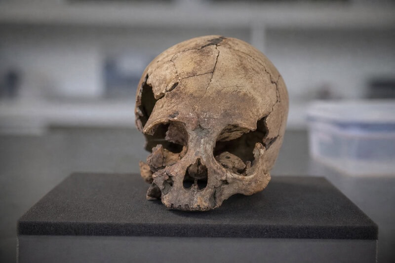 5,900-Year-Old Child Skull Reveals How Farming Reached Norway’s West Coast