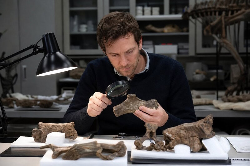 Antarctica’s First Dinosaur Fossil Spent 40 Years Mislabeled in a Drawer
