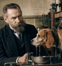 Pavlov’s Dogs Salivated Before the Bell — and Before There Was a Bell