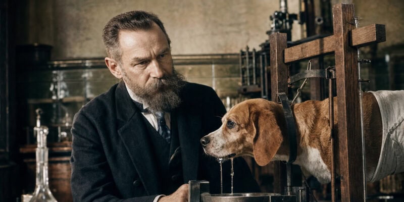 Pavlov’s Dogs Salivated Before the Bell — and Before There Was a Bell