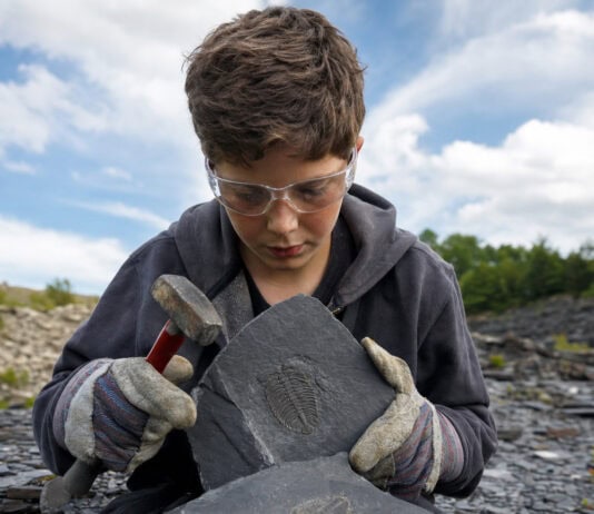 Penn Dixie Fossil Park: Split Open Shale and Keep a 375-Million-Year-Old Find