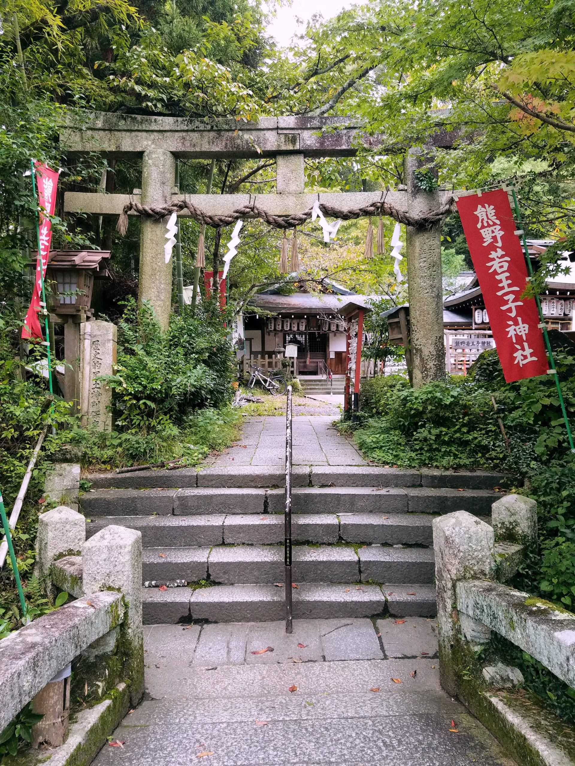 Ancient Japan Pilgrimage Trails Accidentally Built One of Earth’s Richest