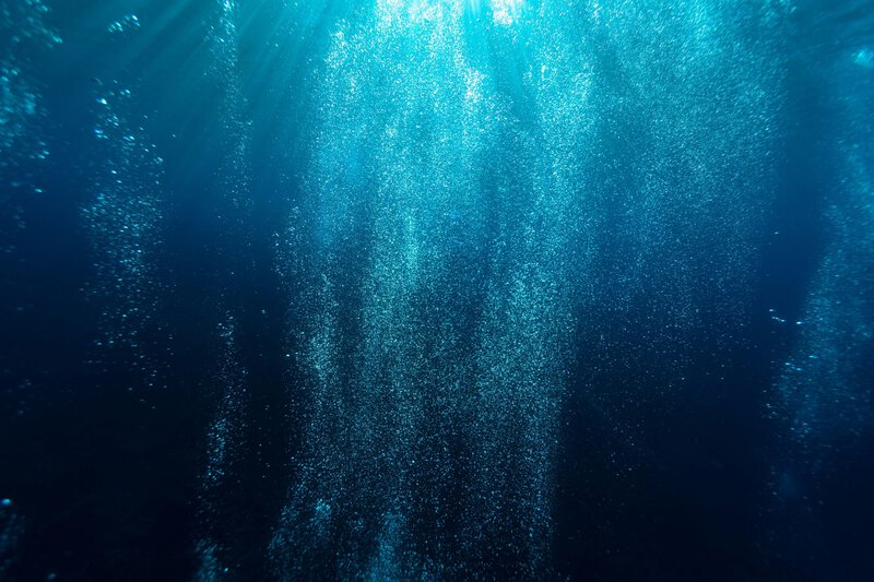 Deep-Sea Pressure Kills at 1,000 Feet — One Man Fished Above It on His Last Day