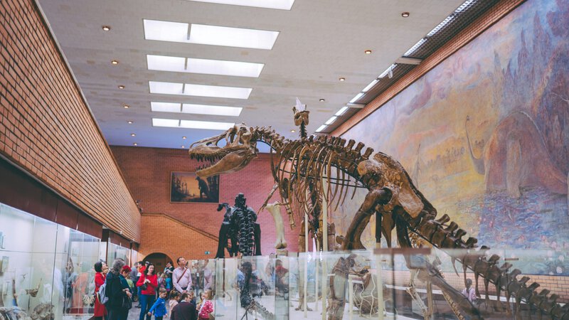 What Dinosaurs Really Looked Like: Lips, Feathers, and Science’s Biggest Fixes