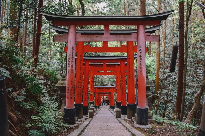 Ancient Japan Pilgrimage Trails Accidentally Built One of Earth’s Richest