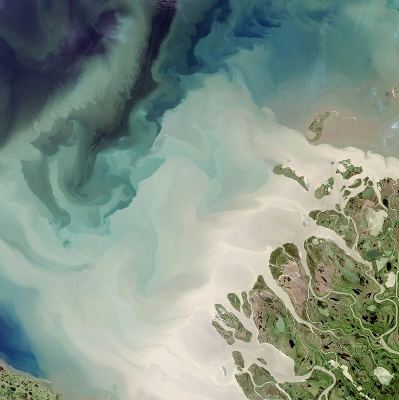 Why the Black Sea Turns Turquoise Every Summer, Captured by NASA