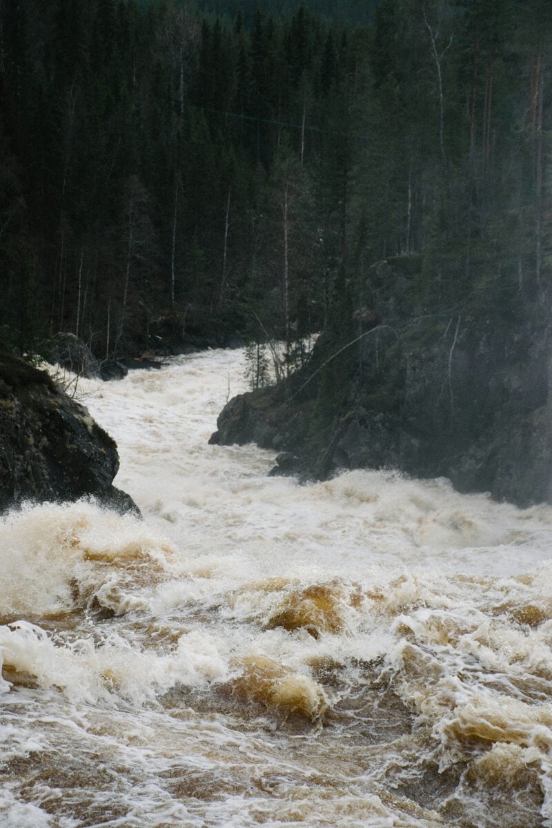 Clear-Cut Logging Can Make a 50-Year Flood Hit Every 3 Years