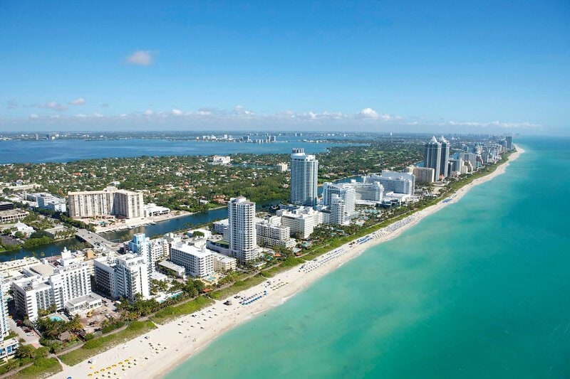 Miami Is America’s Most Termite-Infested City for the 4th Year Running