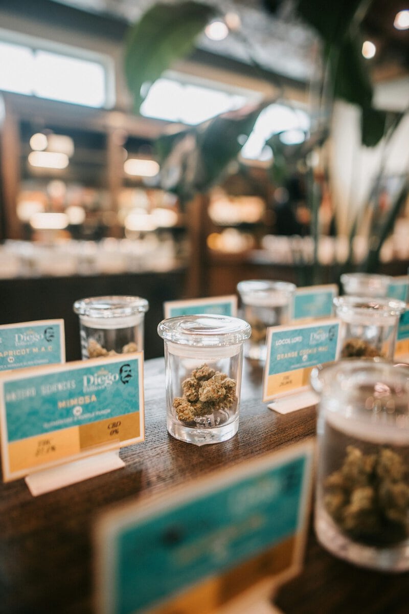 Mango and Cannabis Myrcene: Can Eating Fruit Intensify Your High?