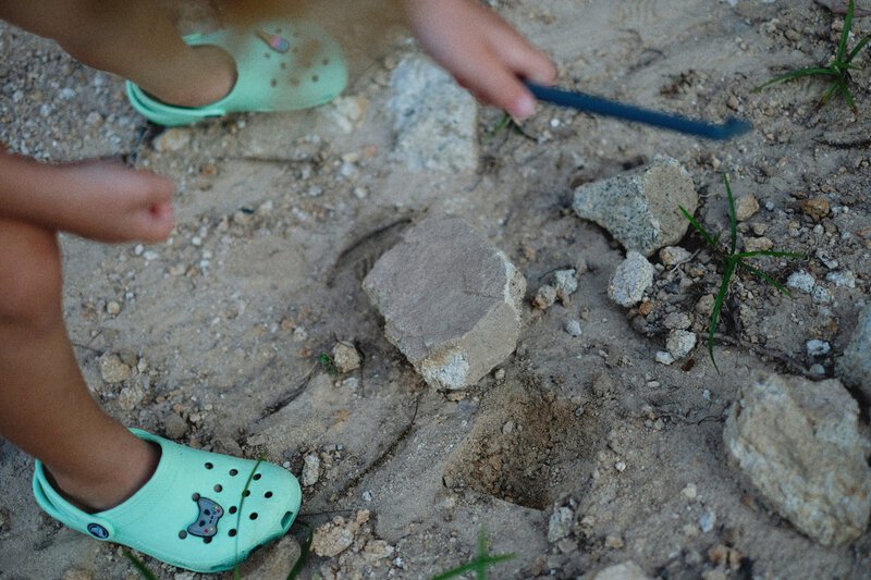 Why Kids’ Dinosaur Obsessions Actually Train the Developing Brain