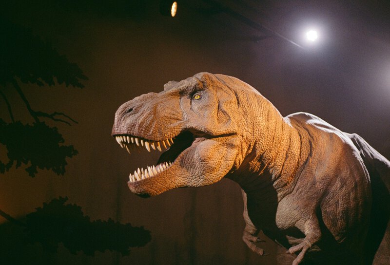 Jurassic World Rebirth’s Dinosaurs: What the Science Actually Gets Right