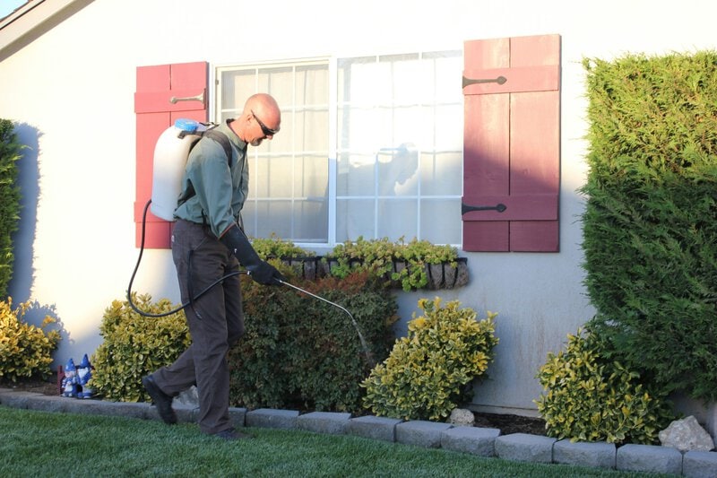 Miami Is America’s Most Termite-Infested City for the 4th Year Running