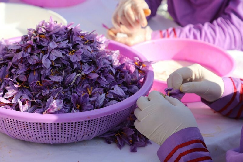 Why Cheap Saffron Chemically Ruins Paella — and What Authentic Does