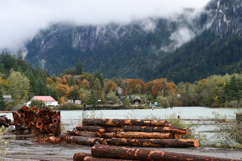 Clear-Cut Logging Can Make a 50-Year Flood Hit Every 3 Years