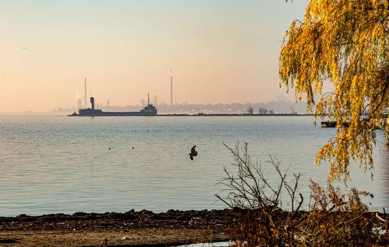 PFAS in Great Lakes Food Webs: 42 Years of Forever Chemicals on Your Plate