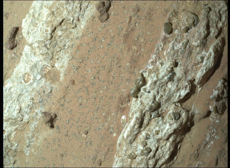 Organic Carbon on Mars Found in Two Rocks 100 Metres Apart by Perseverance