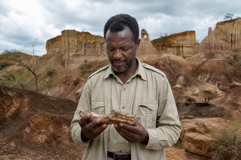 17-Million-Year-Old Ape Fossil in Egypt Upends Africa’s Human Origins Story