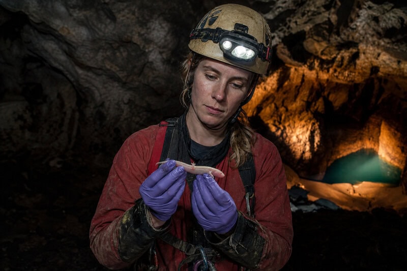 New Cavefish Species Found Under a U.S. Army Base Had Hidden There for Ages