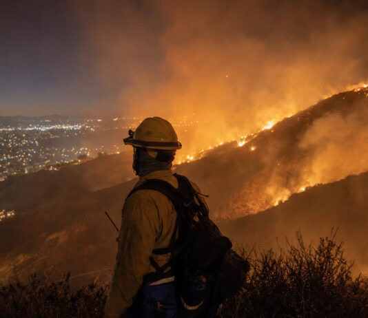 Wildfire Prevention Open Space: How $2M Protects San Mateo Neighborhoods
