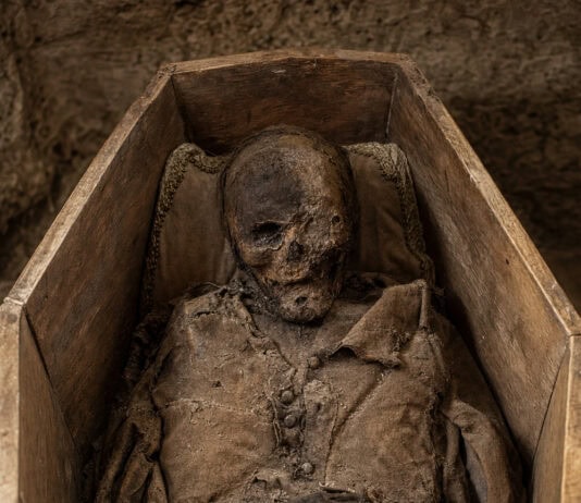Mummy DNA Proves Smallpox Arrived With Colonizers, Not Before Them