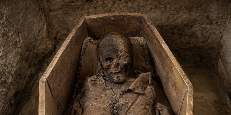 Mummy DNA Proves Smallpox Arrived With Colonizers, Not Before Them