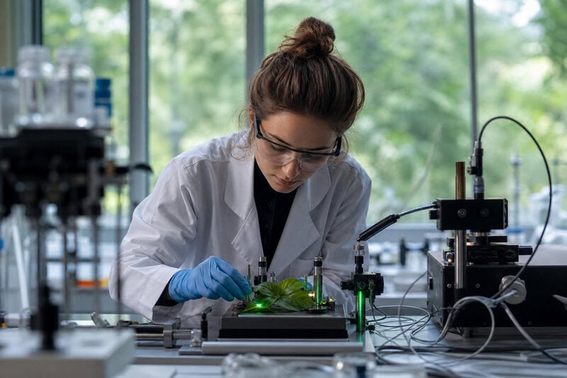 Photosynthesis Light Reactions Work via Quantum Physics, Not Random Walks