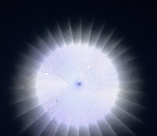Bellatrix Won’t Die as a Supernova First — It Must Transform Into a Red Giant