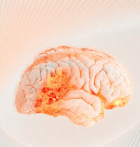 Your Brain’s Memory Hub Quietly Reorganizes Around Age 50, Science Finds