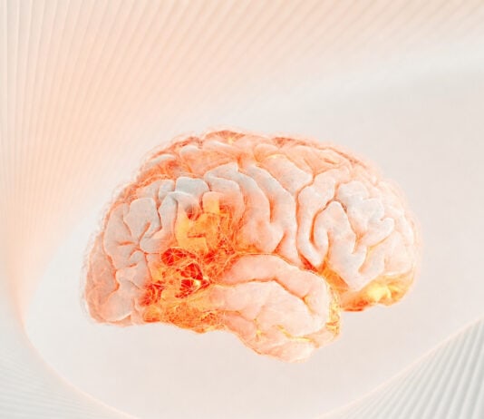 Your Brain’s Memory Hub Quietly Reorganizes Around Age 50, Science Finds