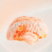 Your Brain’s Memory Hub Quietly Reorganizes Around Age 50, Science Finds