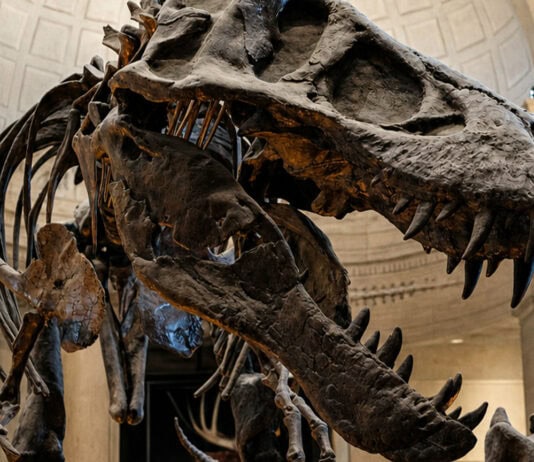 Dinosaur Predator Science Is Scarier Than Kids’ Movies Admit