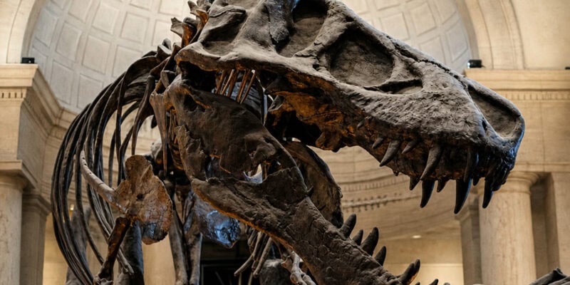Dinosaur Predator Science Is Scarier Than Kids’ Movies Admit