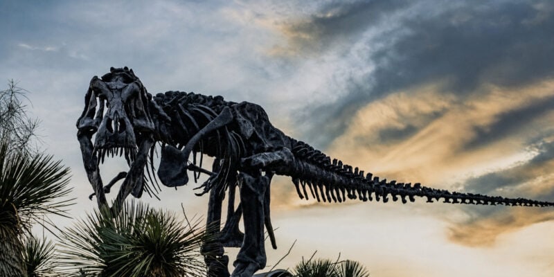 A T. rex Sprint Would Have Shattered Its Own Legs, Science Shows