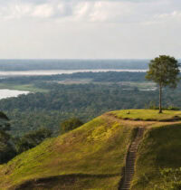 Ancient Amazon Civilization May Have Held 3 Million People, LiDAR Reveals