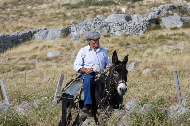 Ancient Greece’s Most Common Jobs Were Farming, Not Philosophy