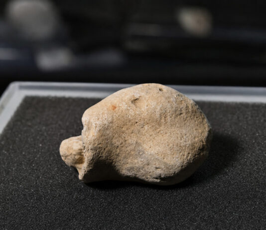 200,000-Year-Old Homo Skull Found in Spain Rewrites Iberian Prehistory