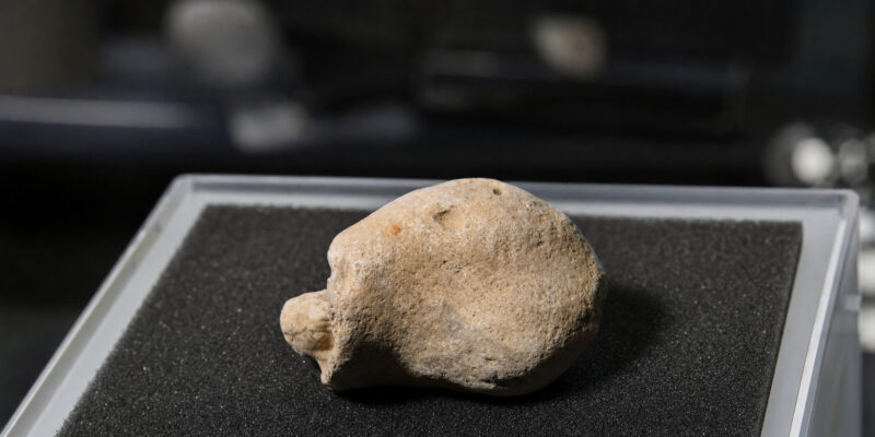 200,000-Year-Old Homo Skull Found in Spain Rewrites Iberian Prehistory