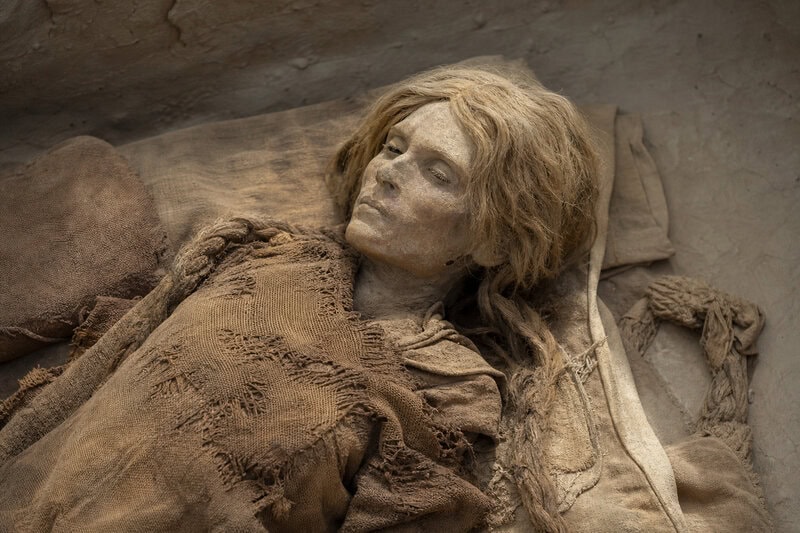 Tarim Basin Mummies Look European &mdash; Their DNA Proved They Never Left Asia