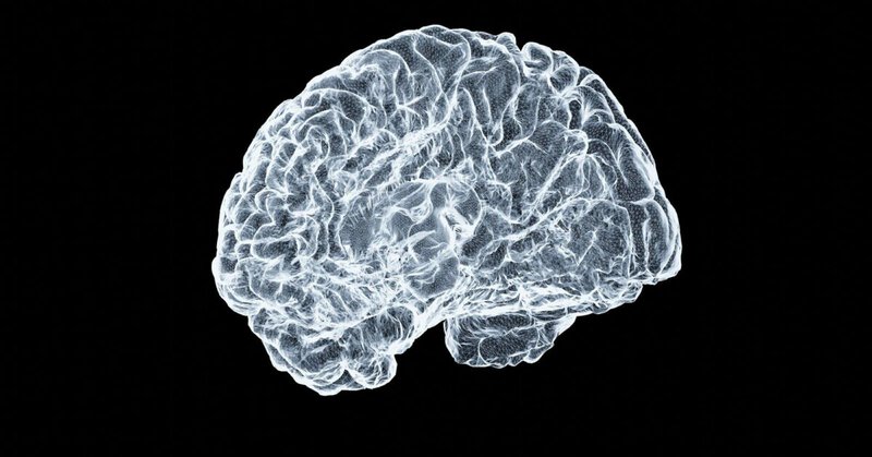 Photo: sciencesensei.com Scientists Discover the Brain May Enter a New Biological Phase Between 50 and 75 as Aging Sharpens Risk of Alzheimer's