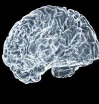 Brain Hits a Biological Phase Shift Between 50 and 75, Study Finds