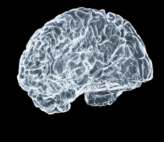 Brain Hits a Biological Phase Shift Between 50 and 75, Study Finds