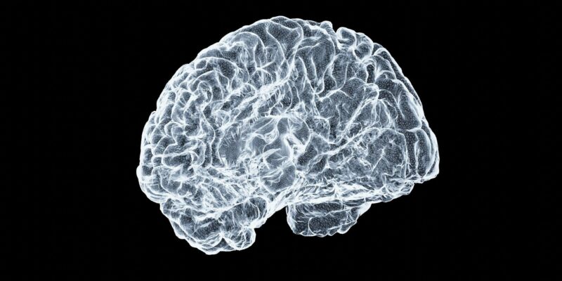 Brain Hits a Biological Phase Shift Between 50 and 75, Study Finds