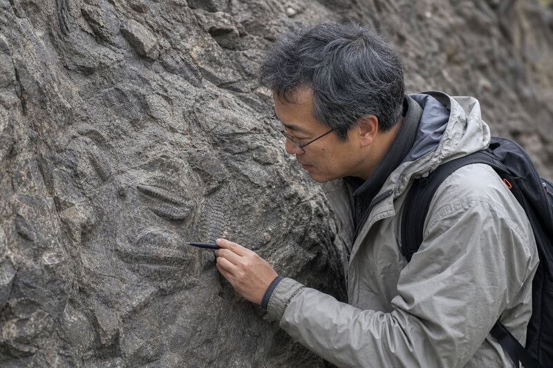 Early Cambrian Fossil Pushes Cephalopod Buoyancy Chamber Back 30 Million Years