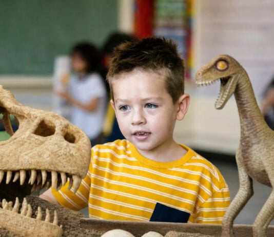 Dinosaur Discovery at Birchwood School Shows Why Fossil Awe Rewires Kids’ Brains