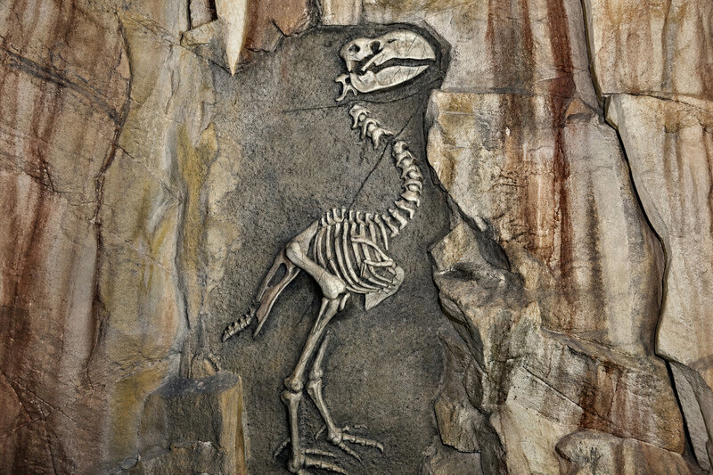 New Pennsylvania Dinosaur Species Found Mislabeled in Museum for Decades