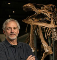 New Pennsylvania Dinosaur Species Found Mislabeled in Museum for Decades