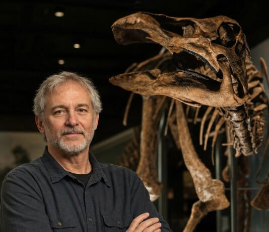 New Pennsylvania Dinosaur Species Found Mislabeled in Museum for Decades