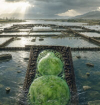 Liangzhu: The Neolithic Jade City That Drowned in 2300 BCE Flood